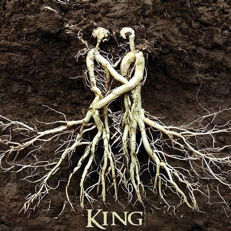 King 810: K7 Album Review & Insights